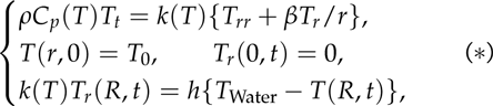 (1+1)D Heat Equation,