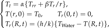(1+1)D Heat Equation,
